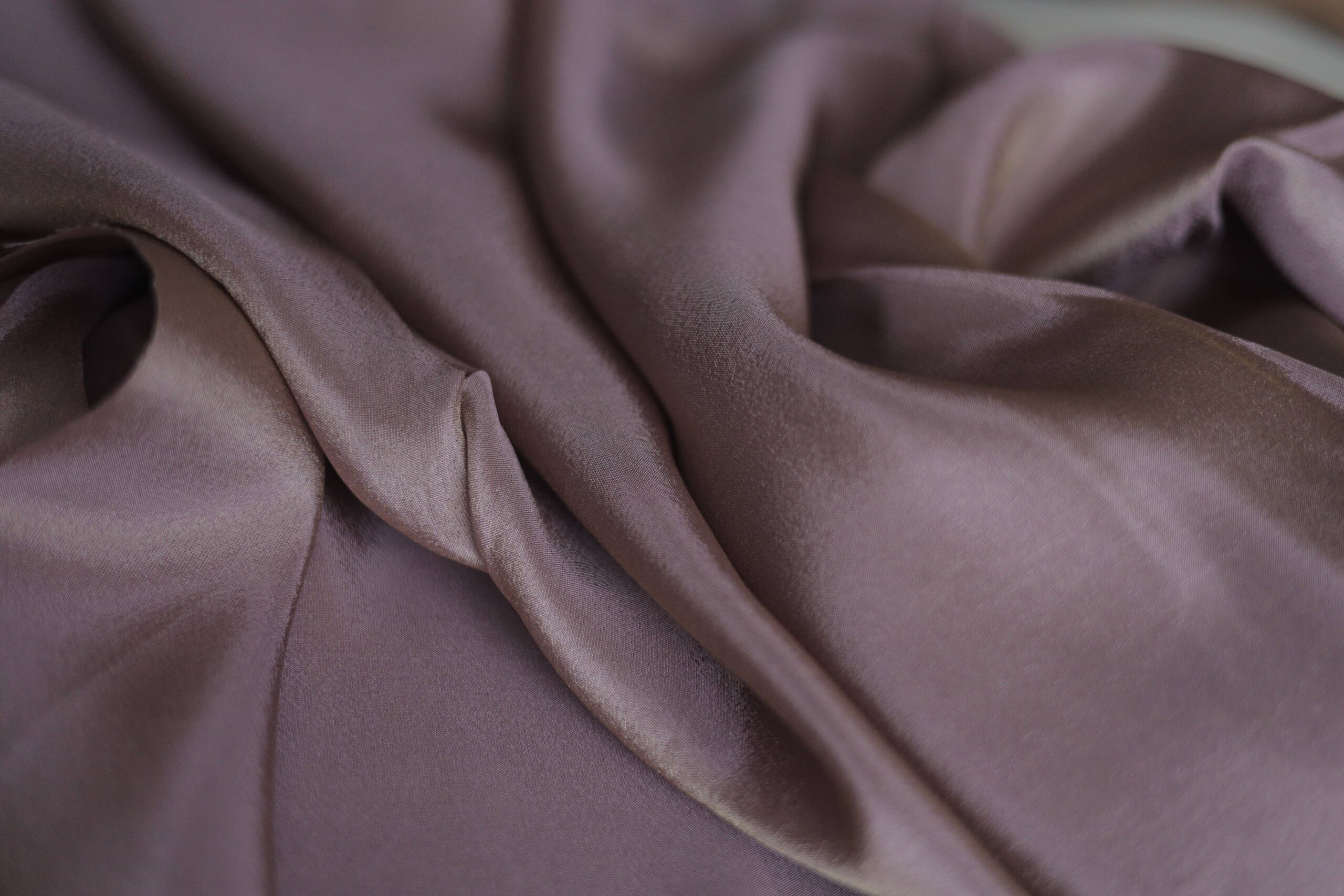 Empire Goldi (Tissue) - Image 5