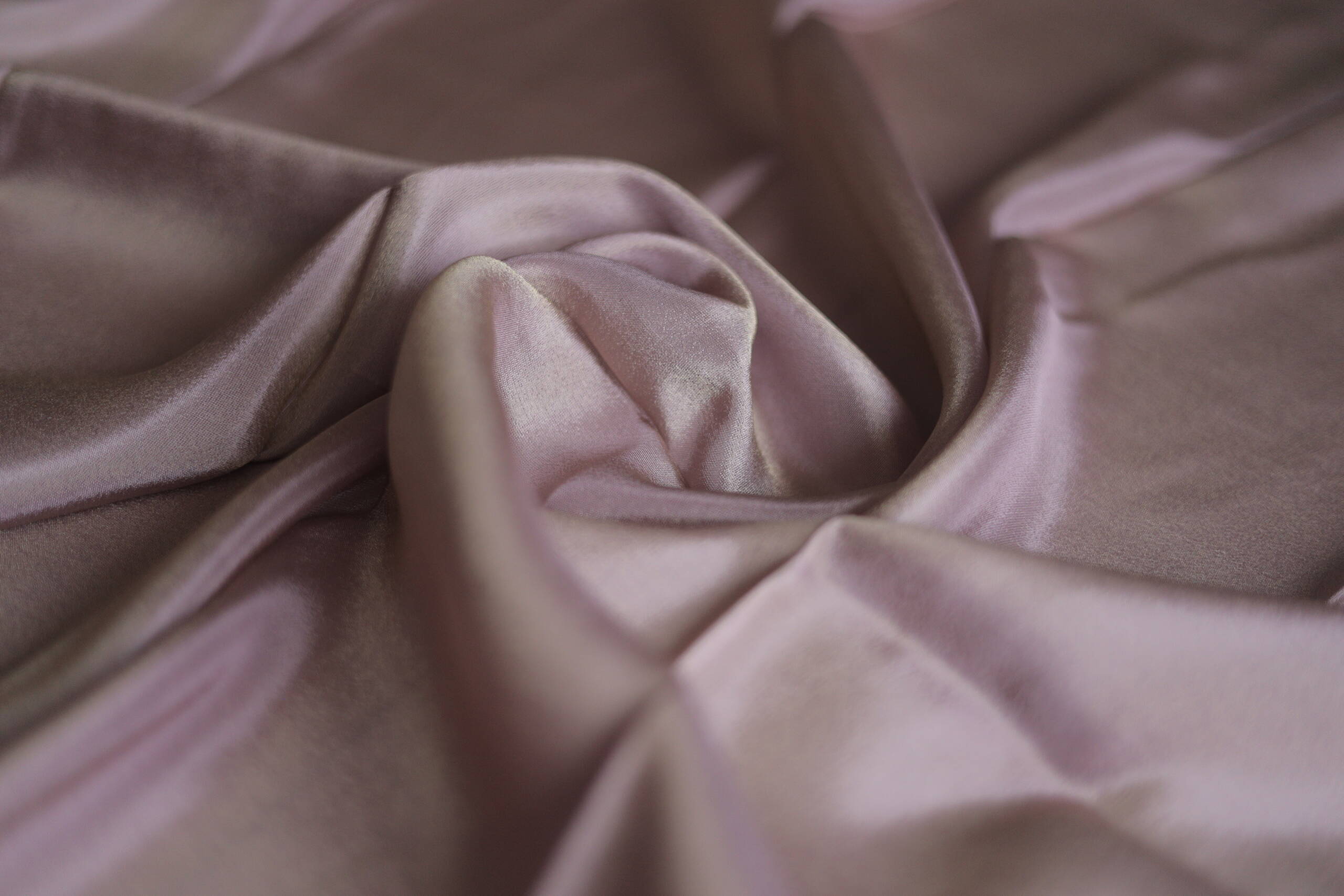 Empire Goldi (Tissue) - Image 6