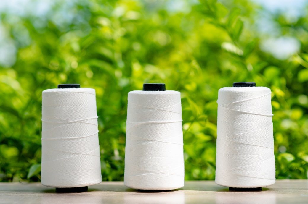 Cotton Bamboo - Image 2