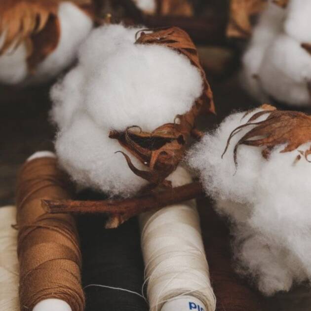 Cotton