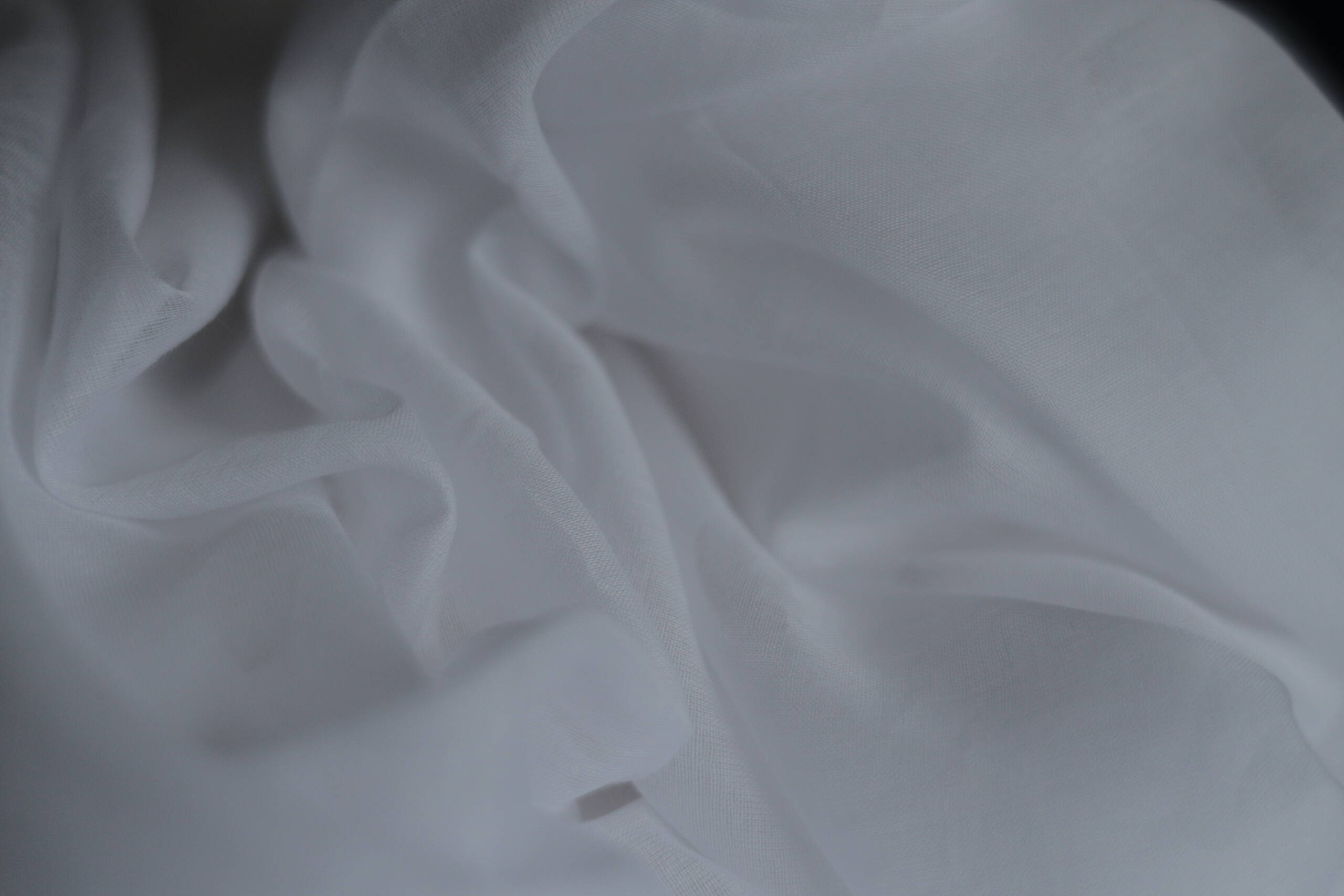 Mal Cotton - Image 3