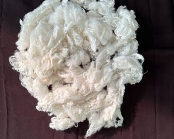 Bamboo fiber LeoPraz 2